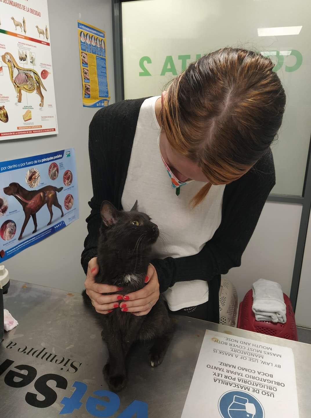 Blacky vet visit