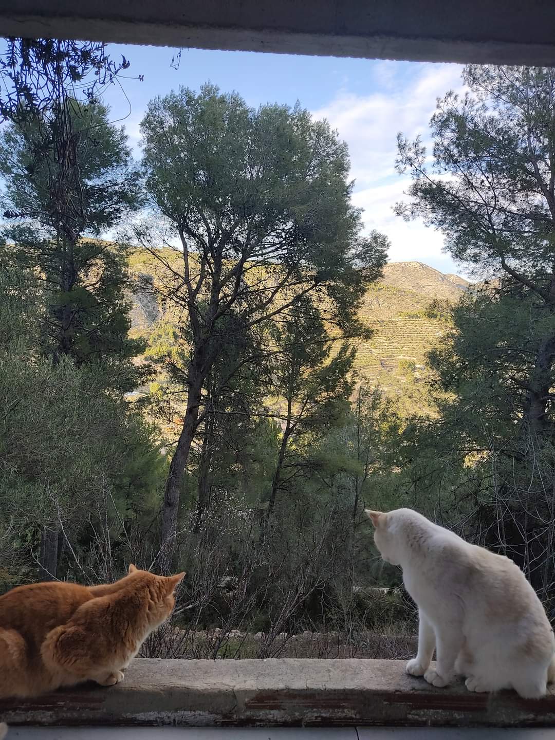look at that view!